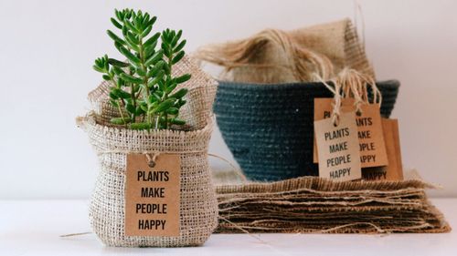 Sustainable Gifting: 7 Ingenious Gifts To Make The Upcoming Festive Season Even More Wholesome